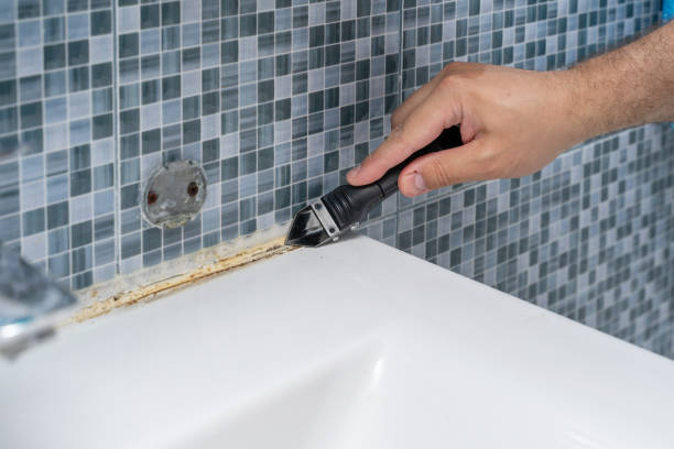 Best Mold Damage Repair  in Berwyn Heights, MD